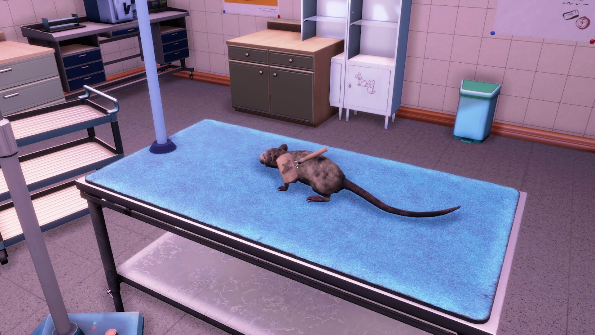 Скриншот Animal Shelter 2 - Little Friends DLC — кадр 10