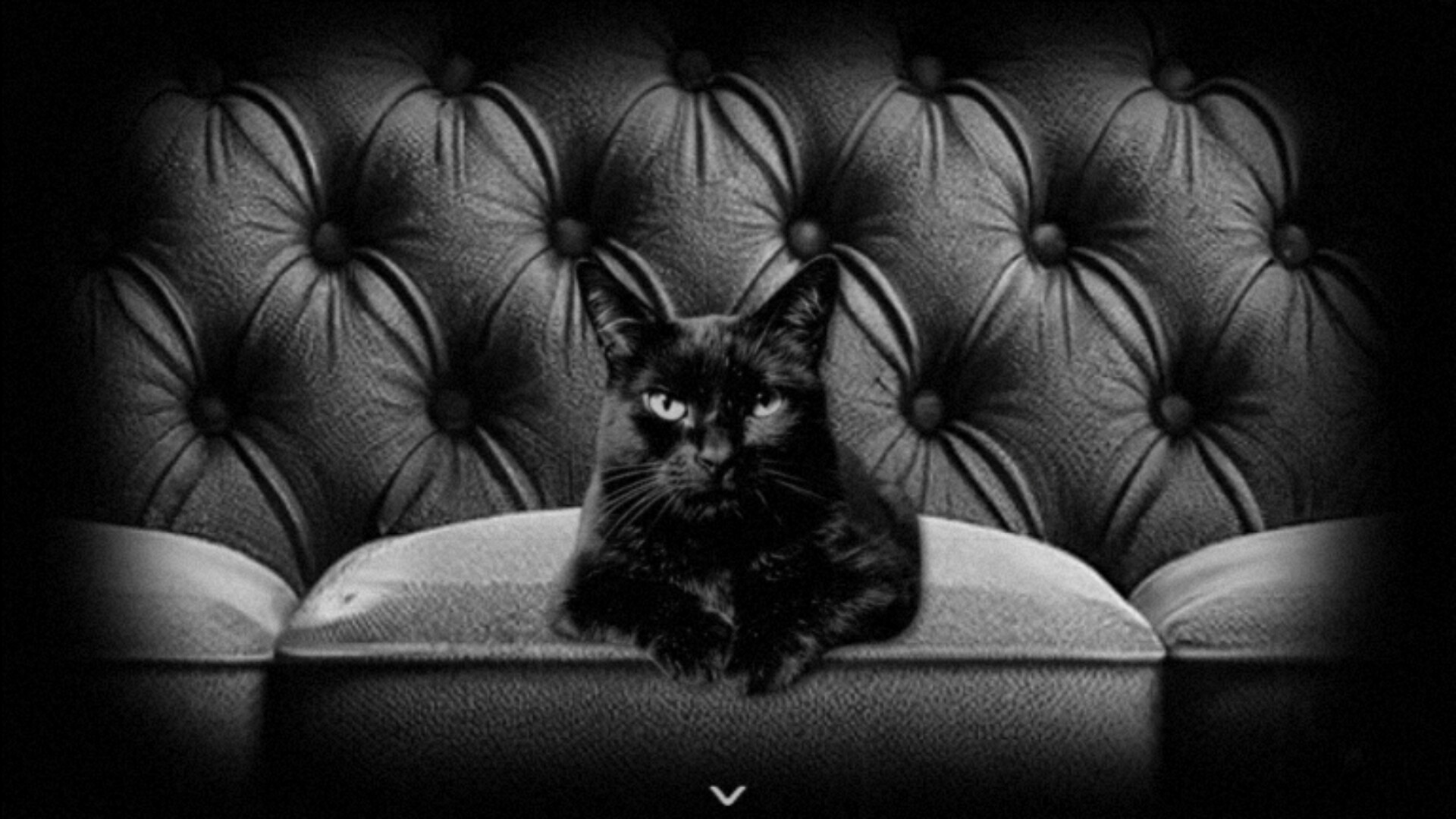 WITHER screenshot #4