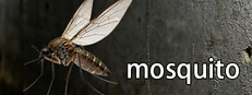 mosquito