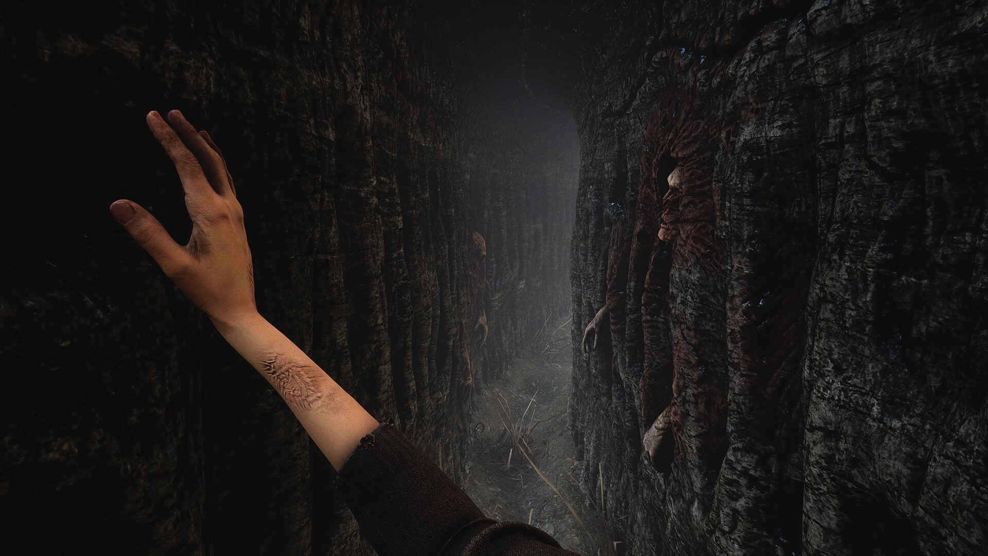 Dear Lamb screenshot 2