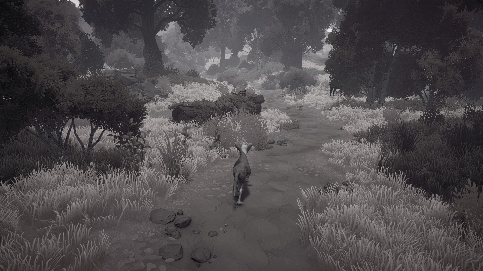 The Lost Paws screenshot 4