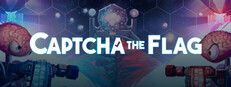 Captcha The Flag