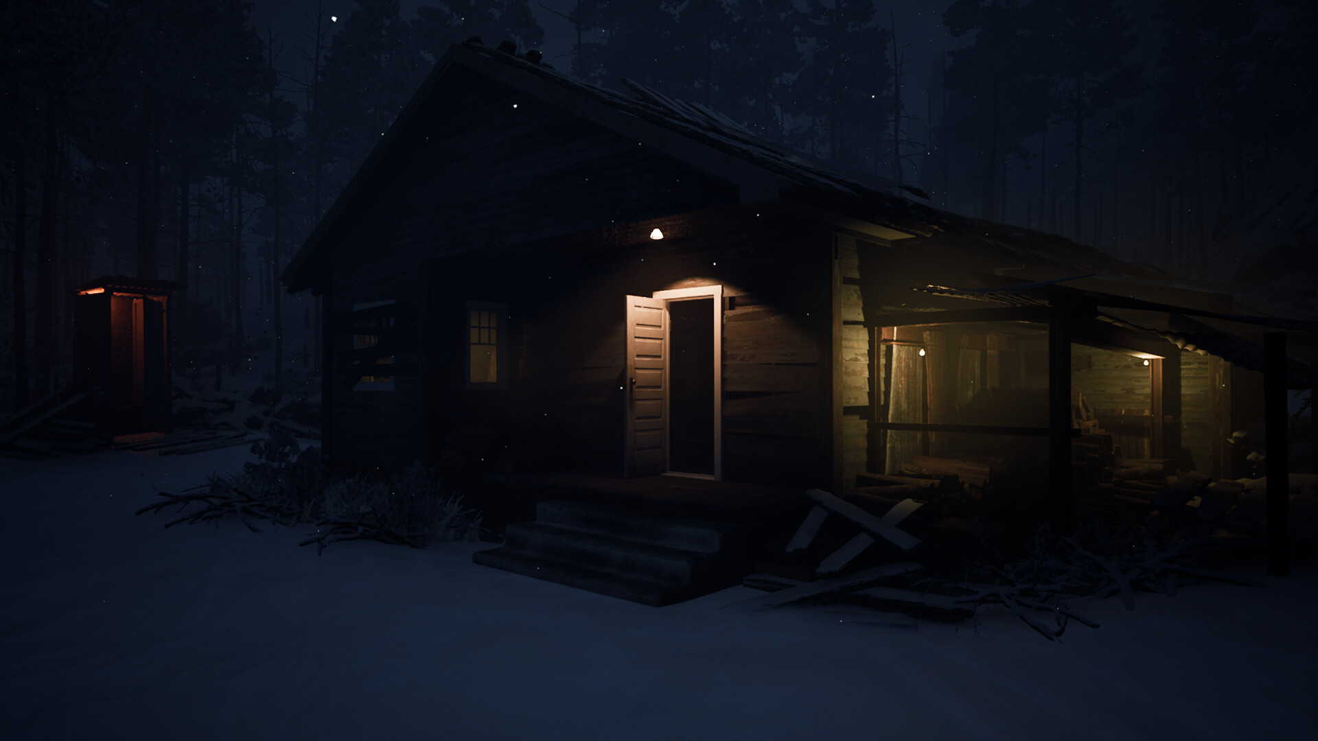 Canary screenshot #6