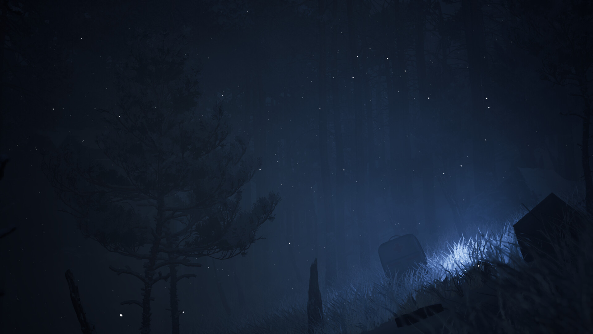 Canary screenshot #2