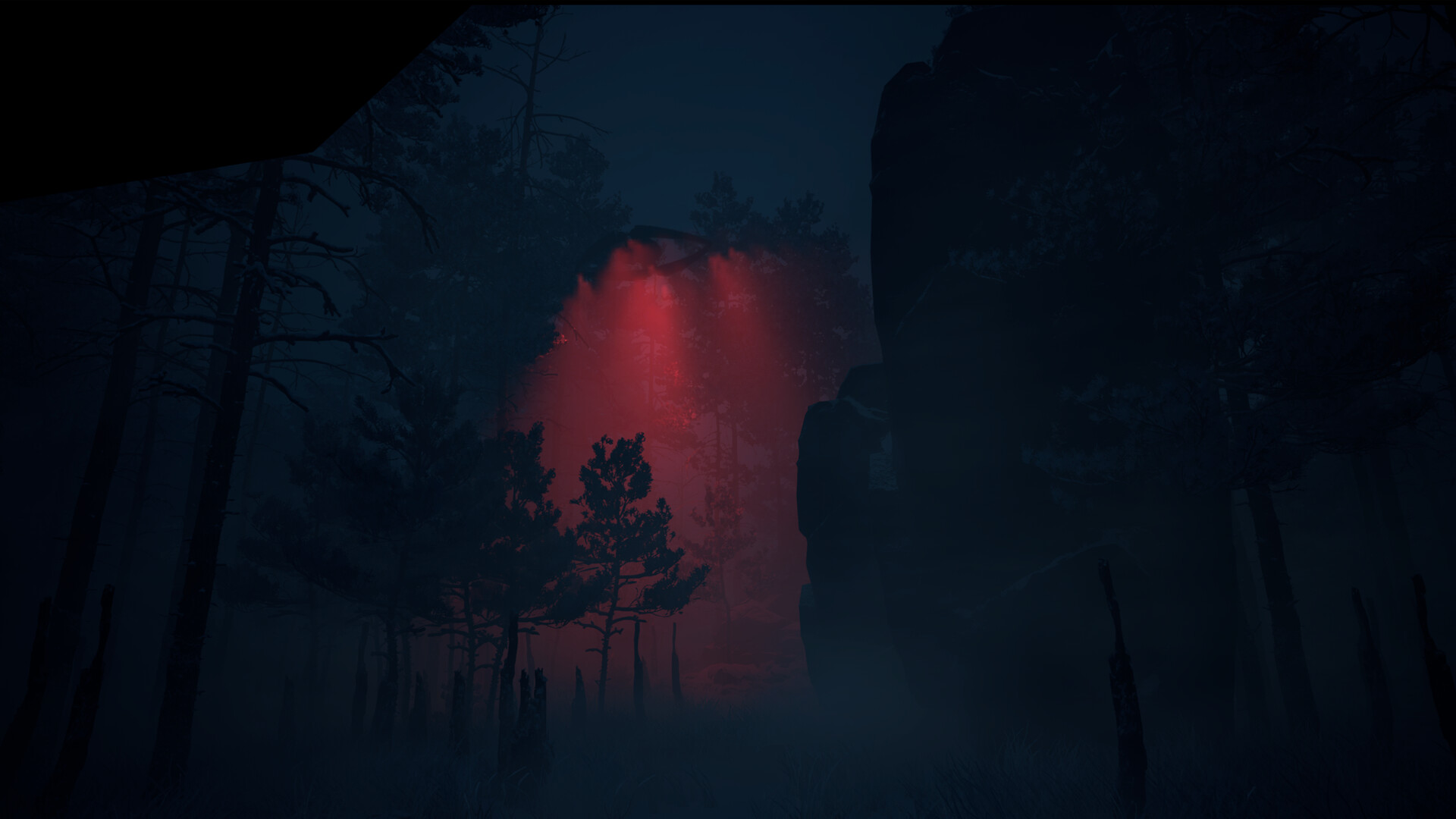 Canary screenshot #4