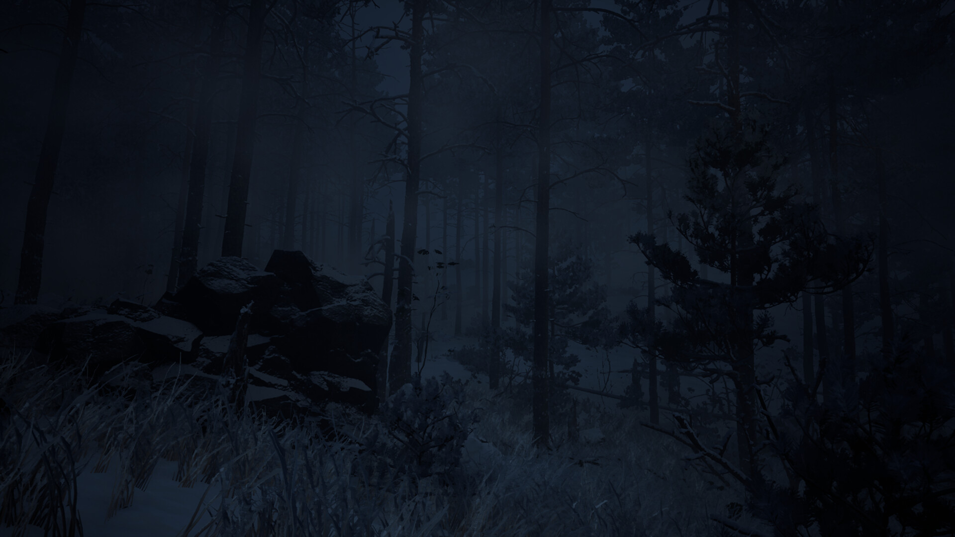 Canary screenshot #7