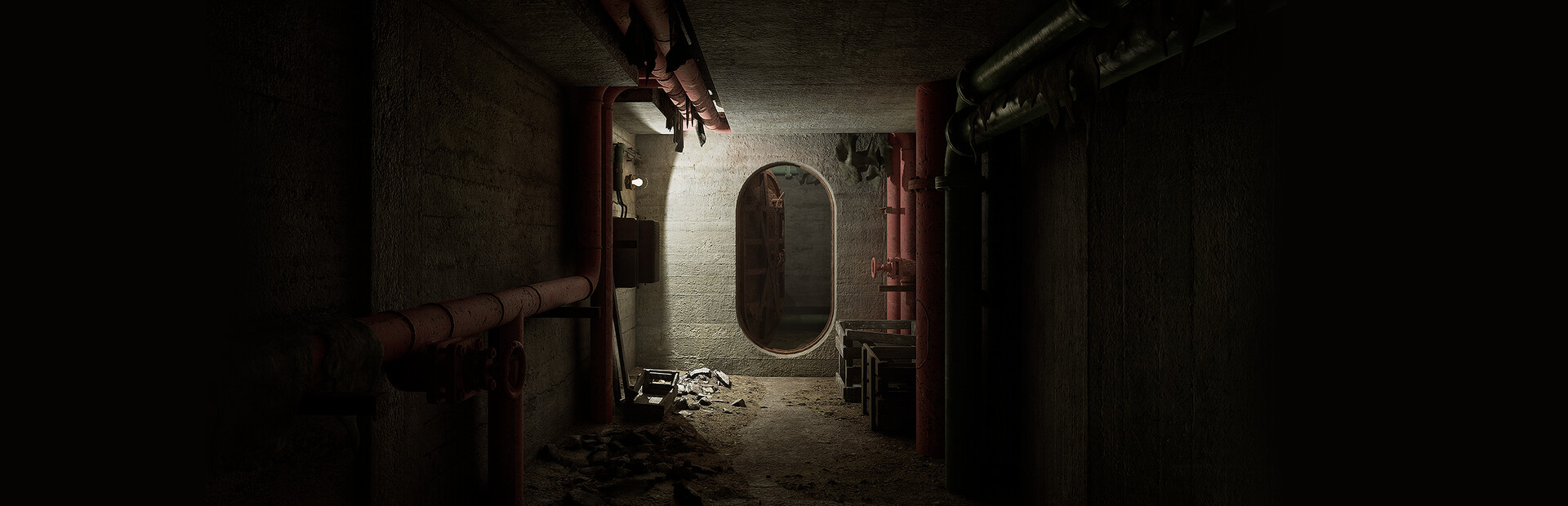 The Riese Project