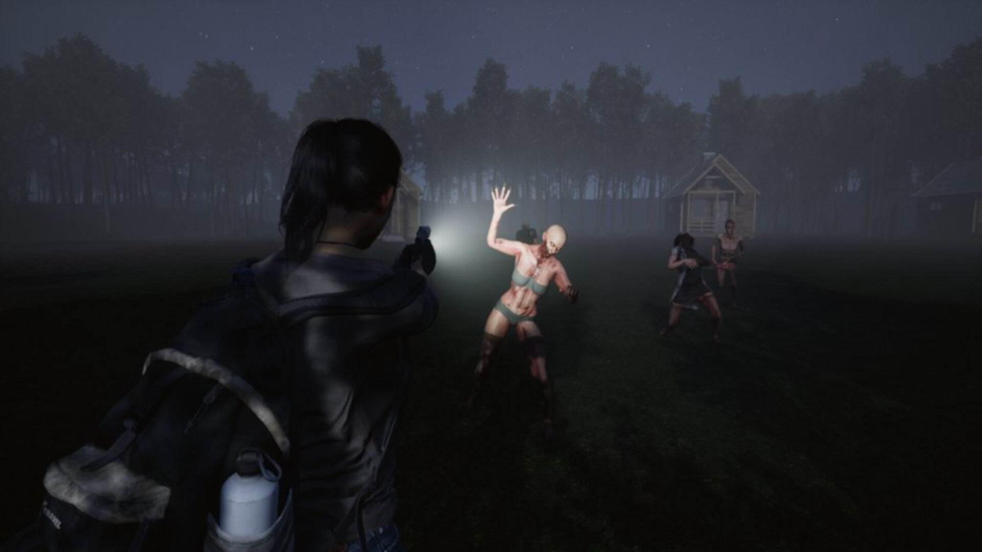 Aftermath Z: Red Pine Lake screenshot #7