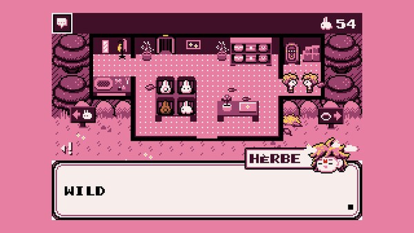 Paquerette Down the Bunburrows - Supporter Pack 2