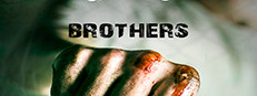 Brothers game capsule image