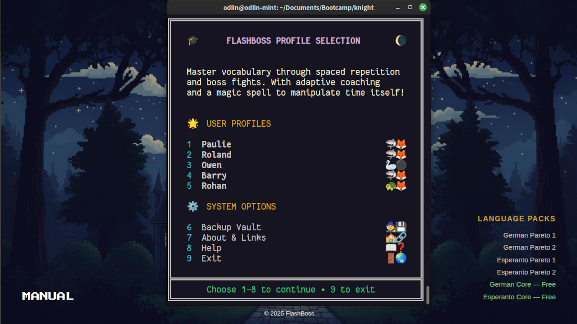 FlashBoss screenshot 1
