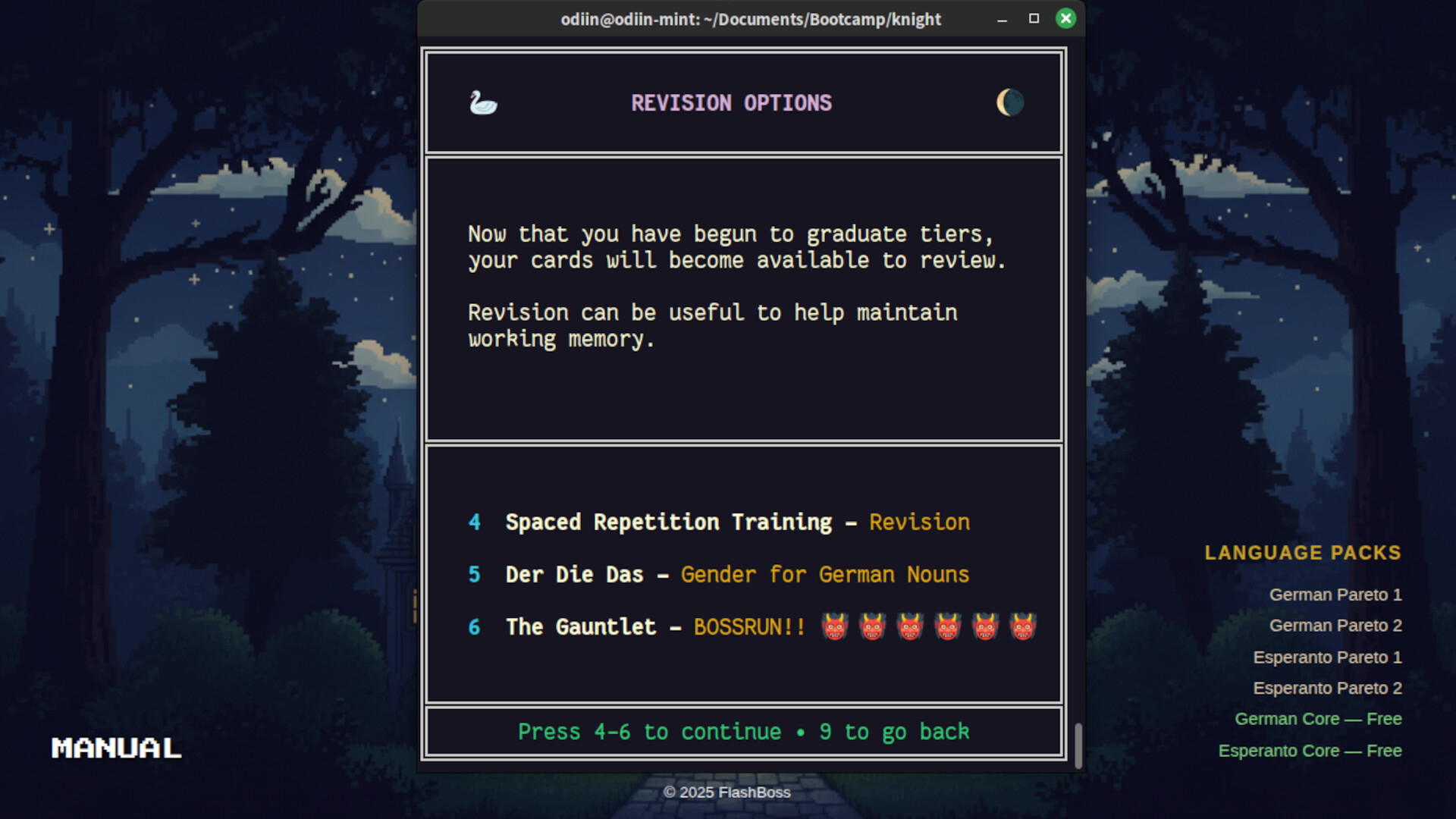 FlashBoss screenshot #5