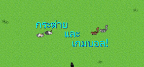 Bunnies & Ballgames!