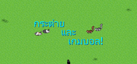 Bunnies & Ballgames!