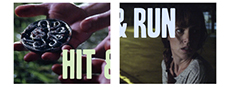 Hit & Run game capsule image