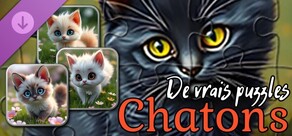 Real Kitten Puzzles (images)