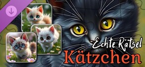 Echte Kätzchen-Puzzles (Bilder)