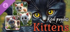 Real Kitten Puzzles (images)
