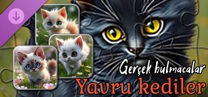 Gerçek Yavru Kedi Bulmacaları (görseller)