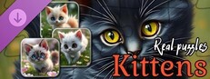 Real Kitten Puzzles (images)