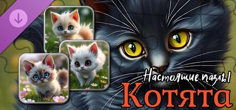 Real Kitten Puzzles (images)