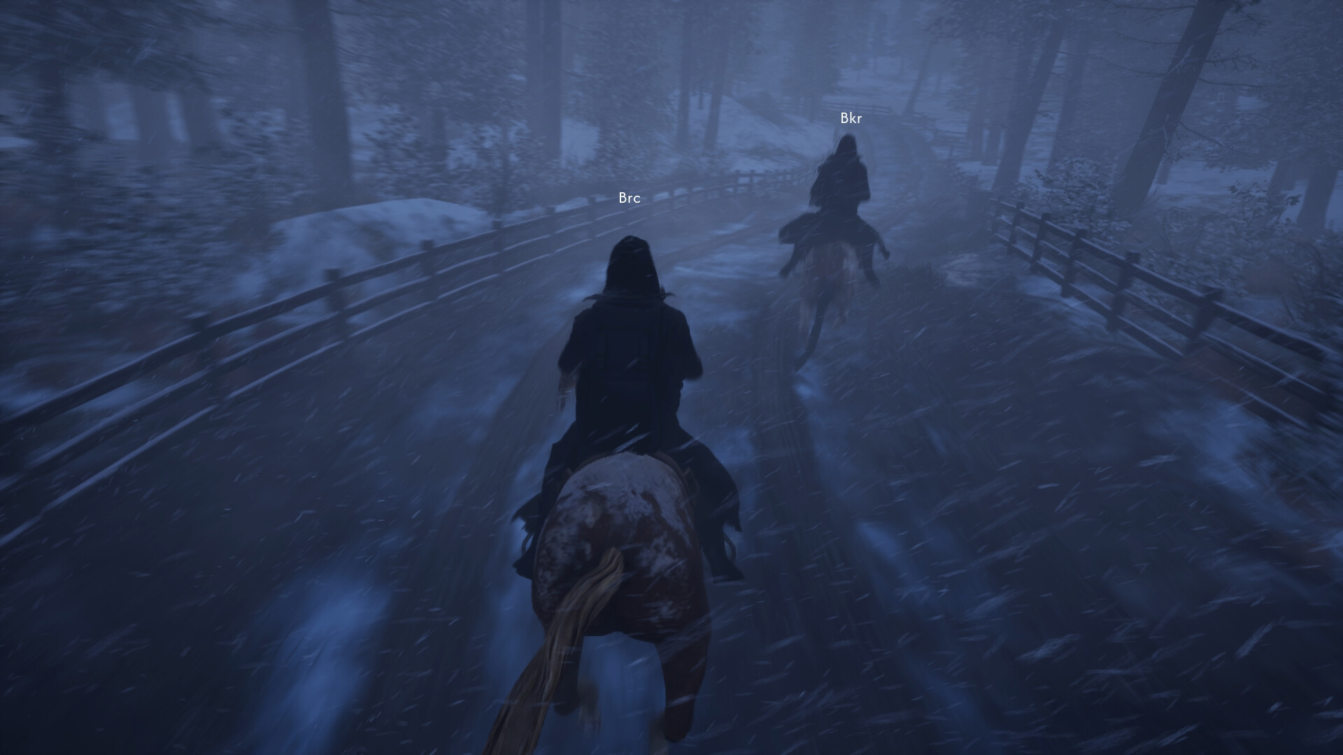 Blackroots screenshot #6