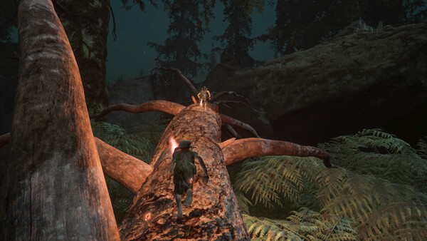 TROLLHEIM: GNOMES