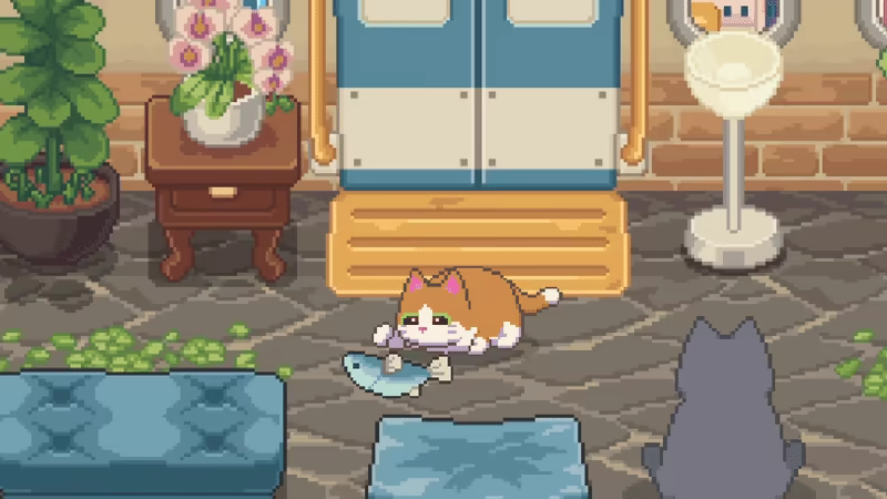 Neko Station video 6