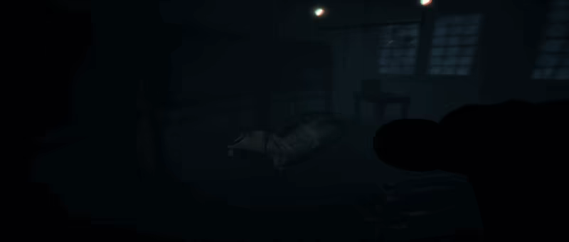PRICHAL video 2