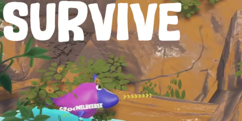 Salmon Jump video 3