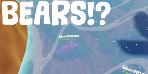 Salmon Jump video 4