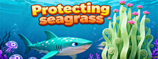 Protecting seagrass 保护海草