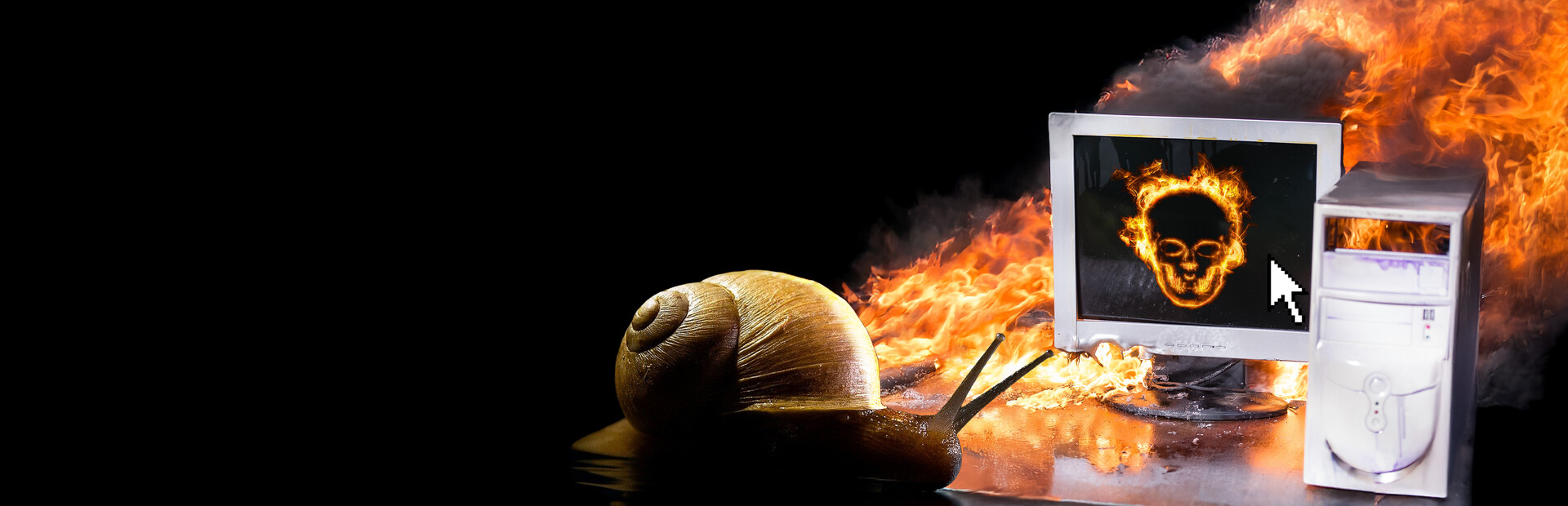 Don't Touch the Snail