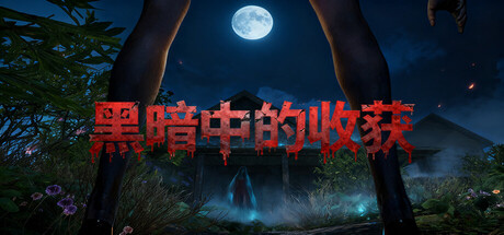 黑暗中的收获