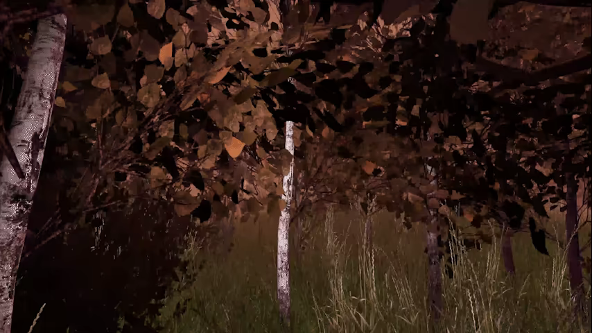 Forgotten Villa video 6