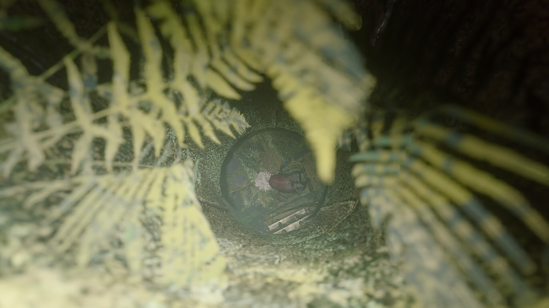 Devora screenshot #3