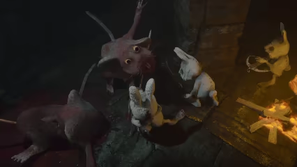 Devoris video 3