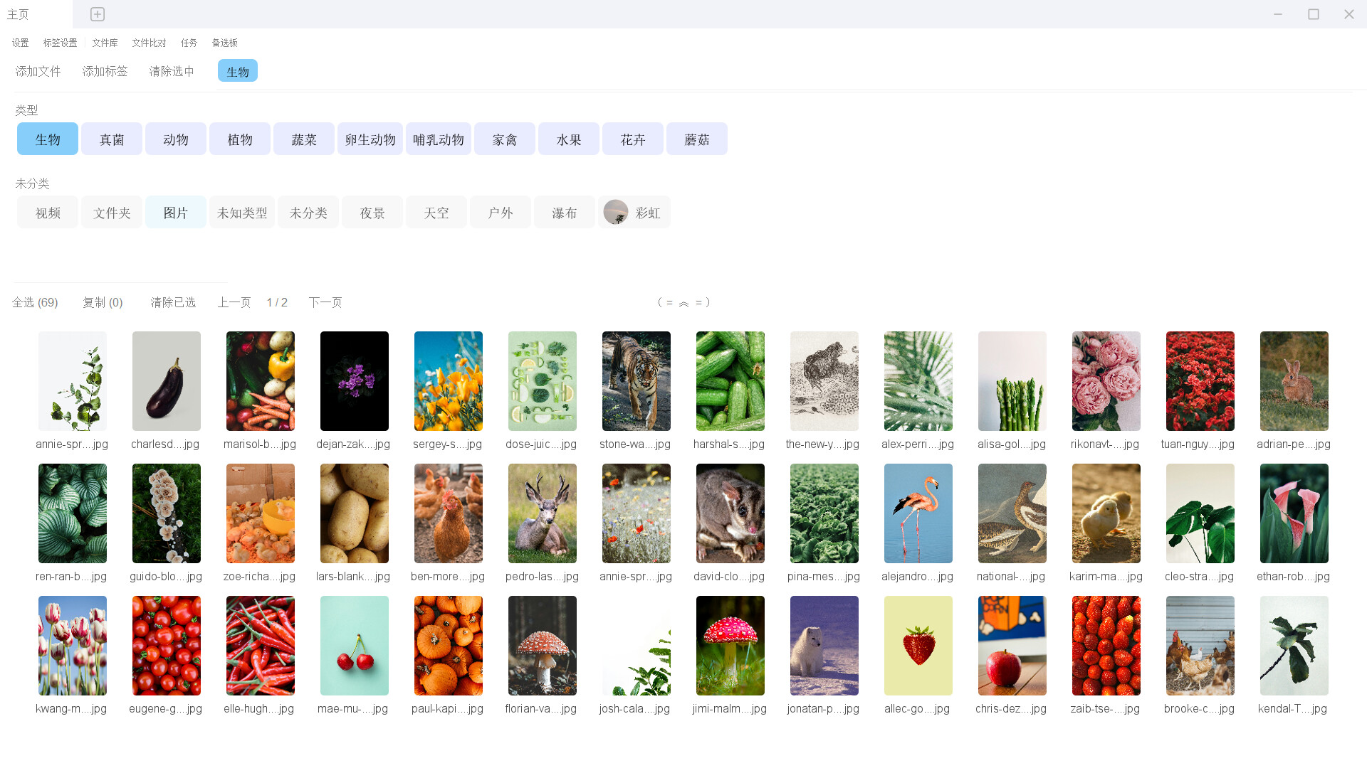 File Label CC PC gameplay screenshot 1 of 10