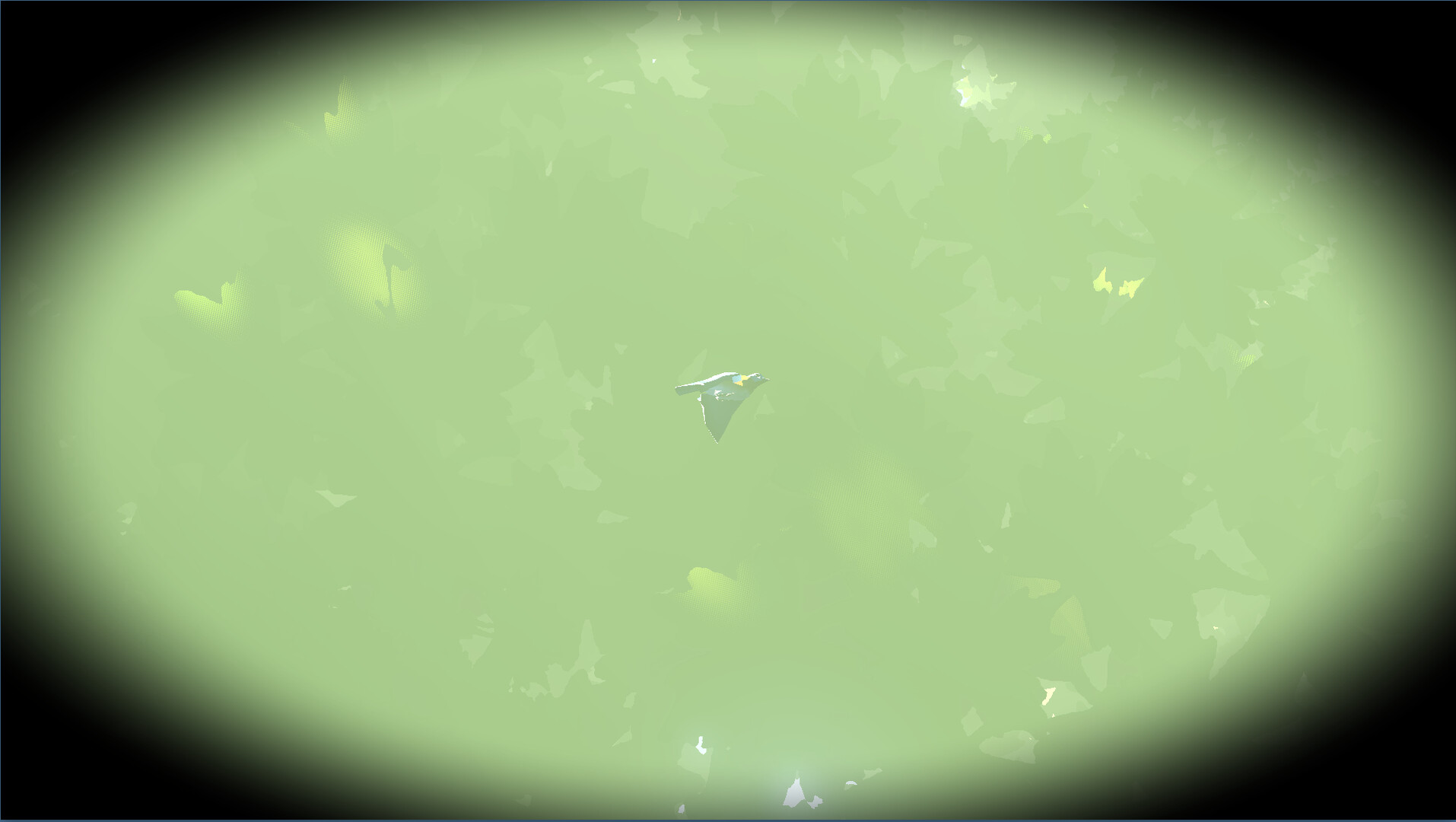 Look to the Birds