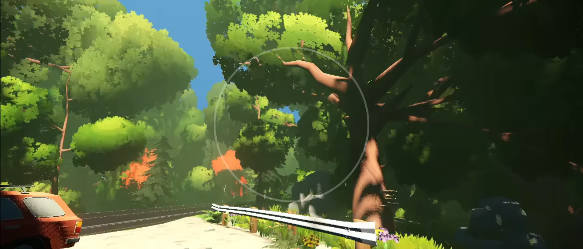 Look to the Birds video 2