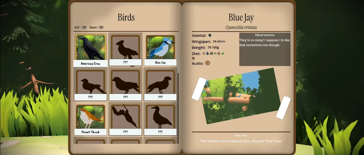 Look to the Birds video 4