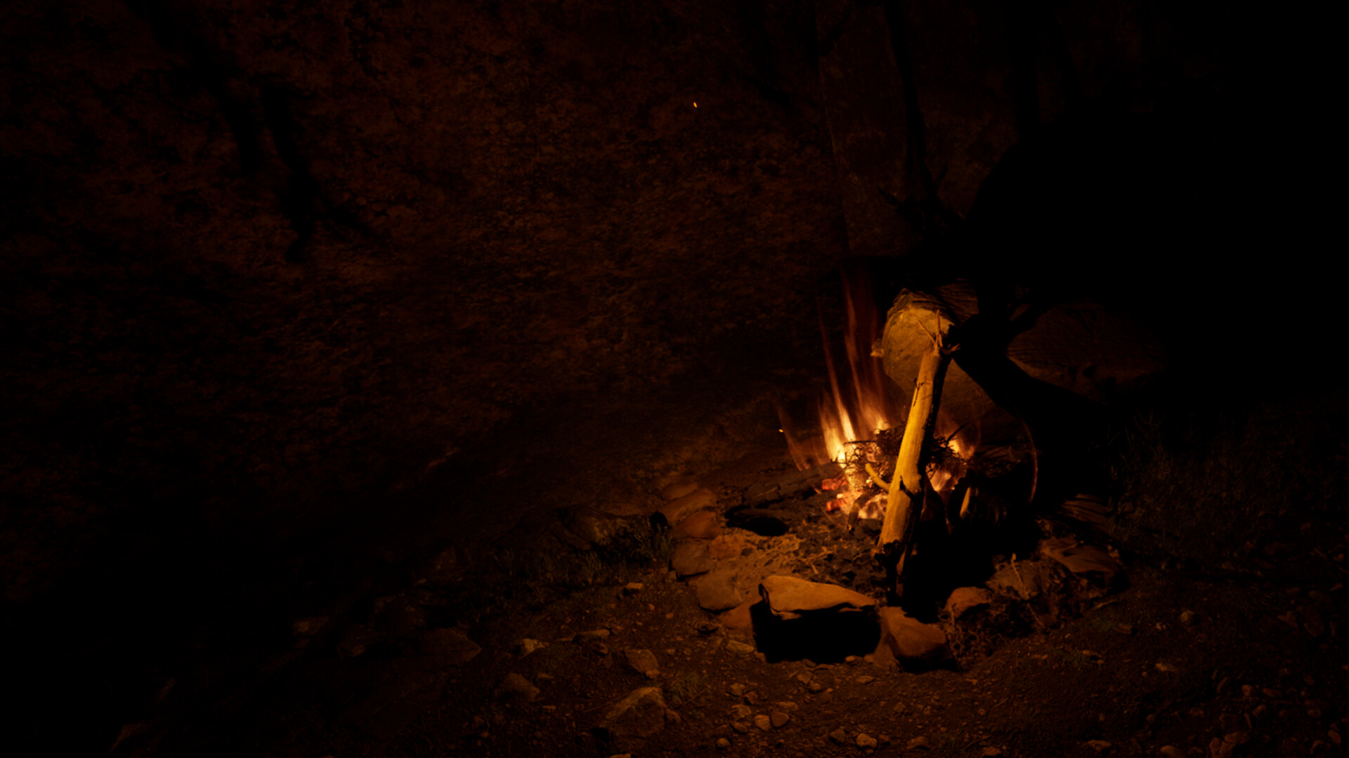 House in a Meadow VR screenshot #14