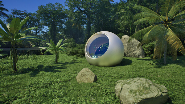 House in a Meadow VR screenshot 6