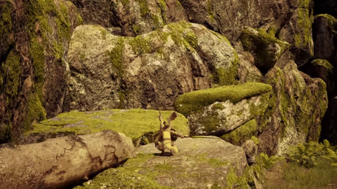 Johan video 3
