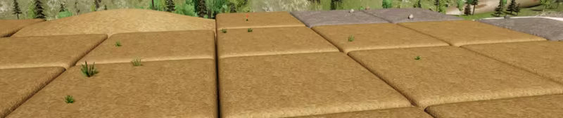The Archaeologists video 1