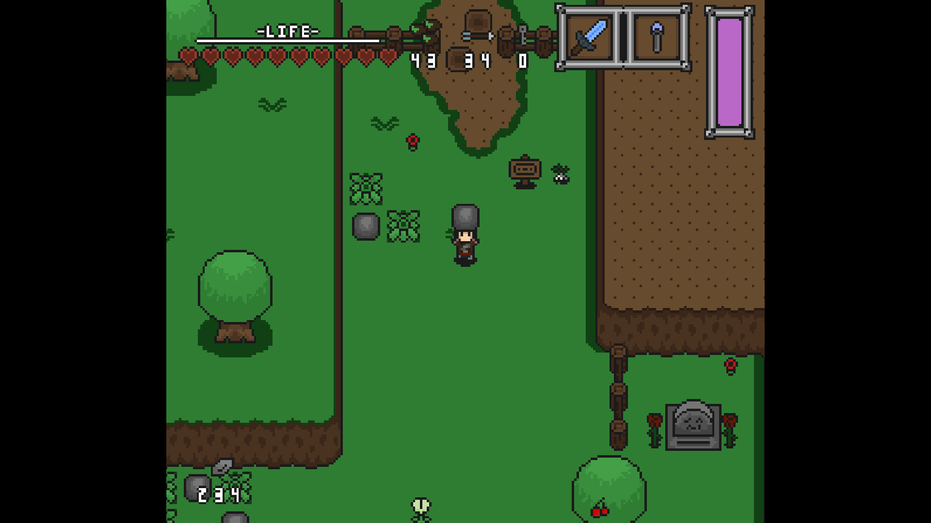 The Knight of Niraking screenshot #11