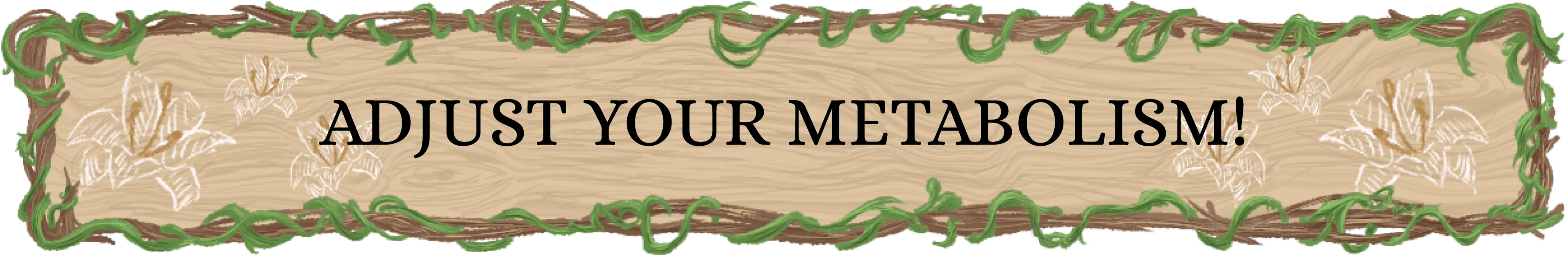 DIVIDER: Adjust your metabolism!