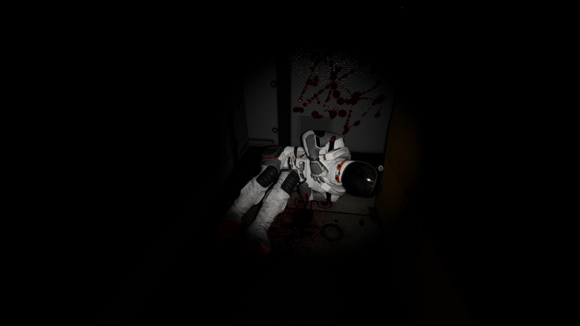 PNEUMA screenshot #17