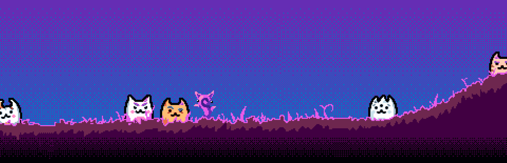 CAT CAT CAT CAT CAT CAT CAT CAT CAT CAT CAT