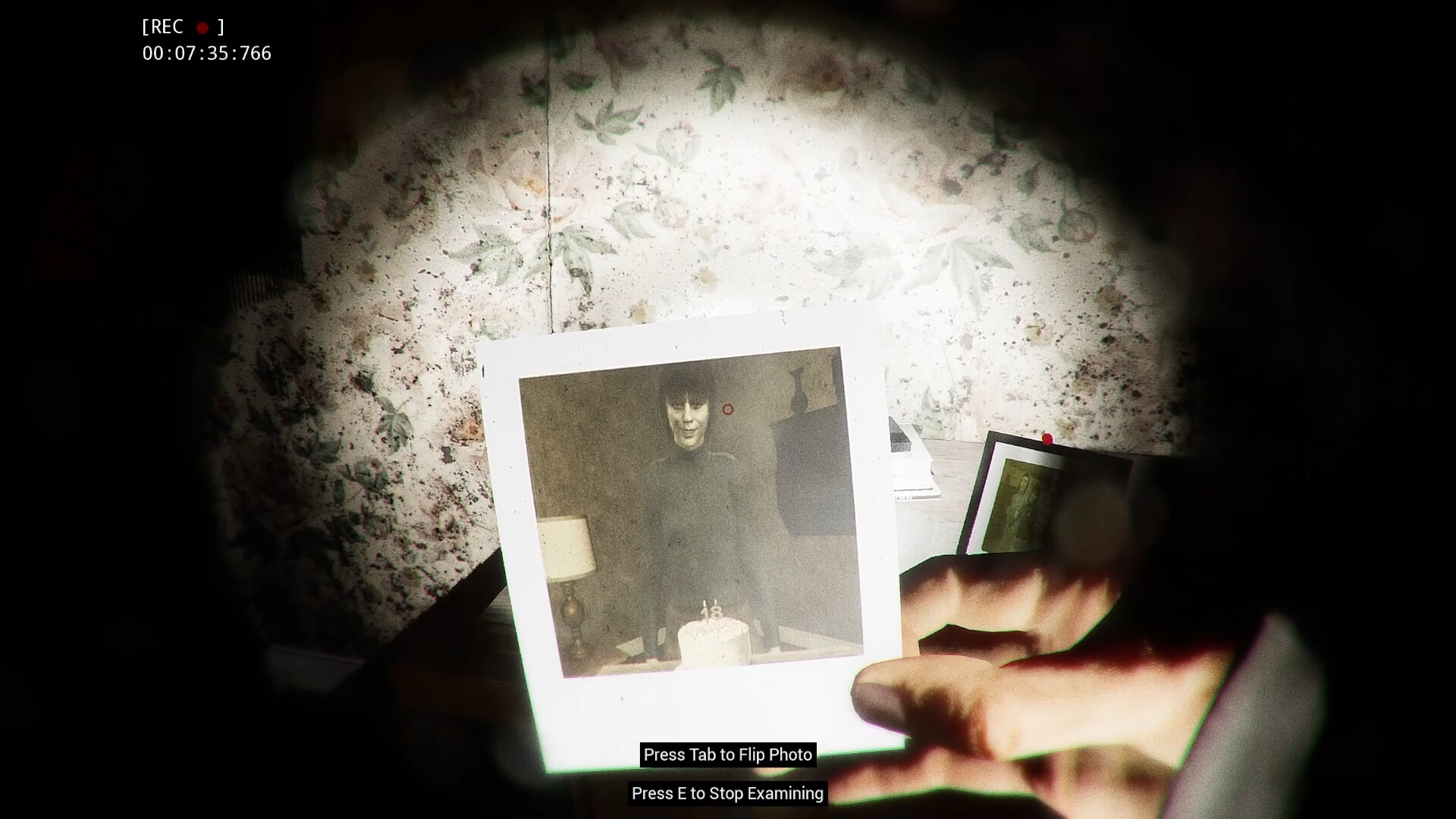 The Red Window screenshot 5